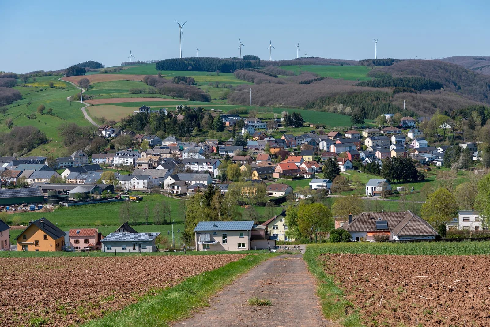Niederfeulen