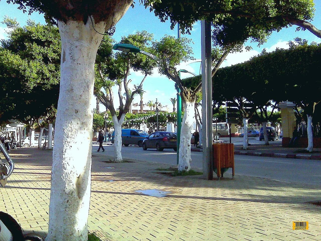 Hadjout