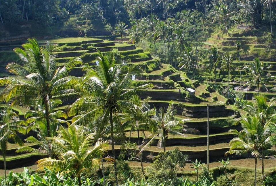 Provinz Bali