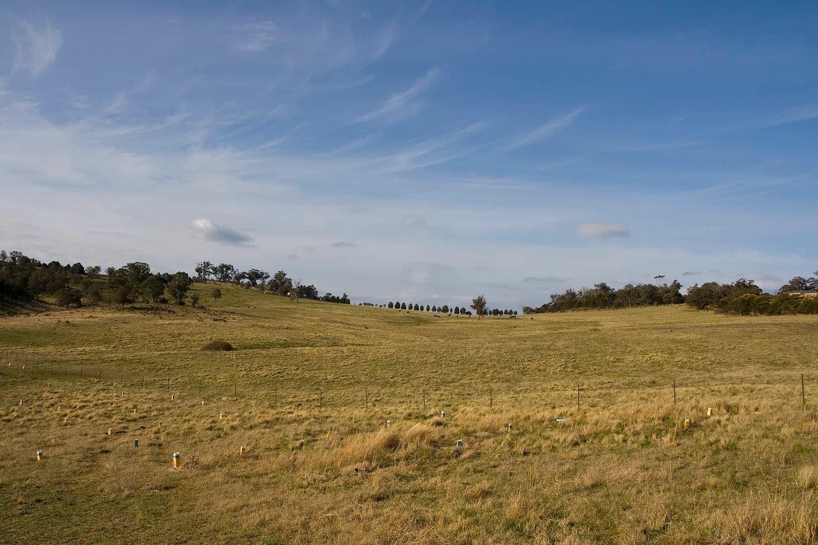 Southern Highlands