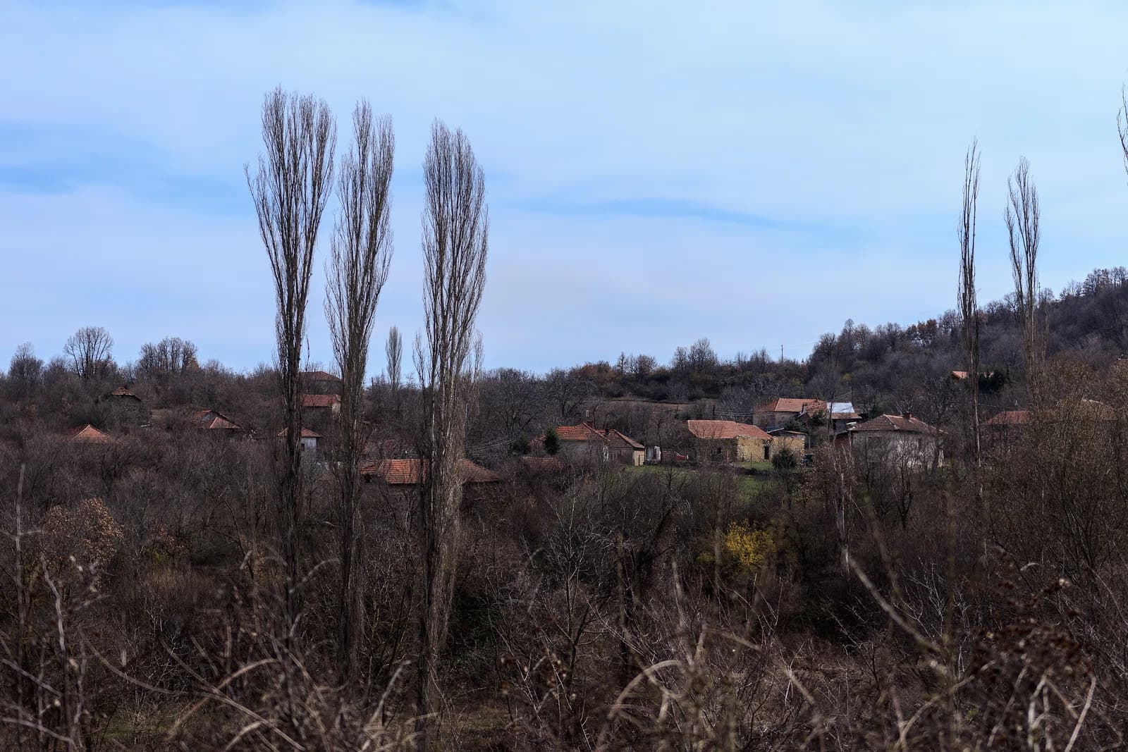 Nikuljane