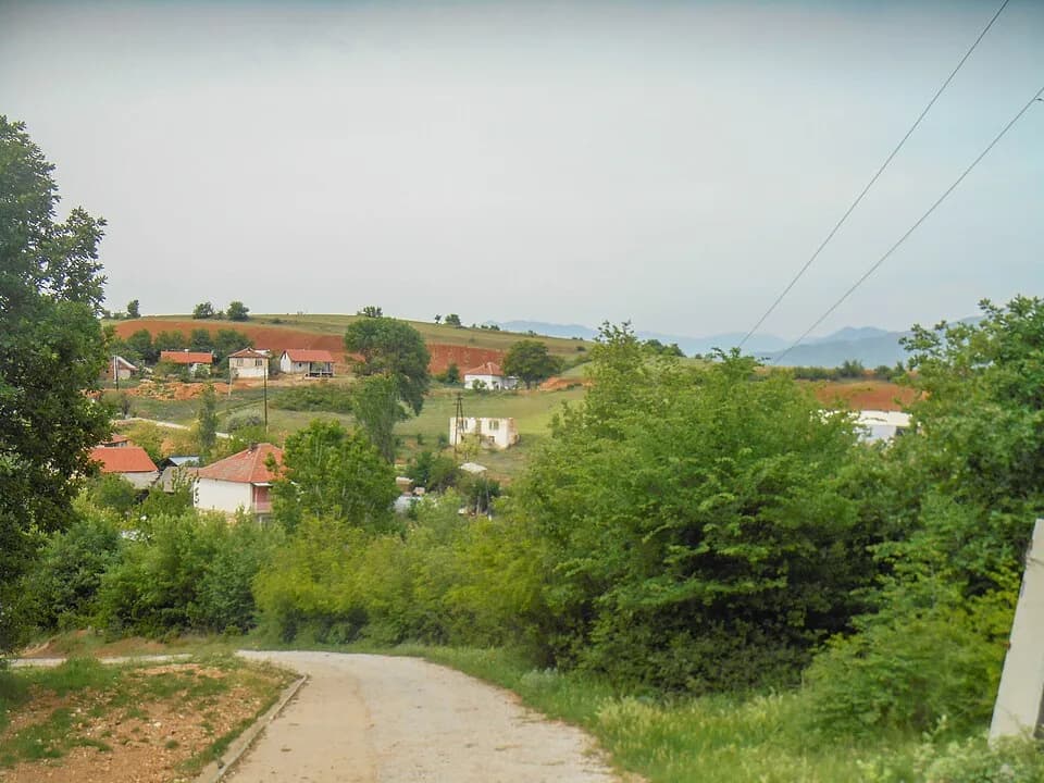 Vladievci