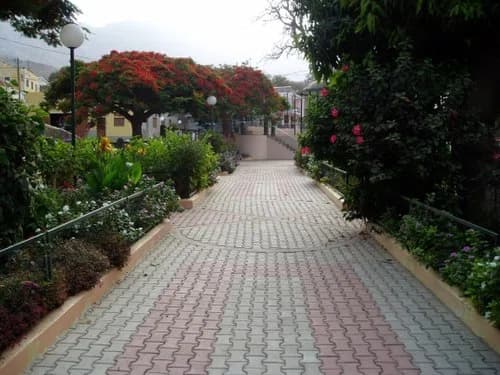 Ribeira Brava