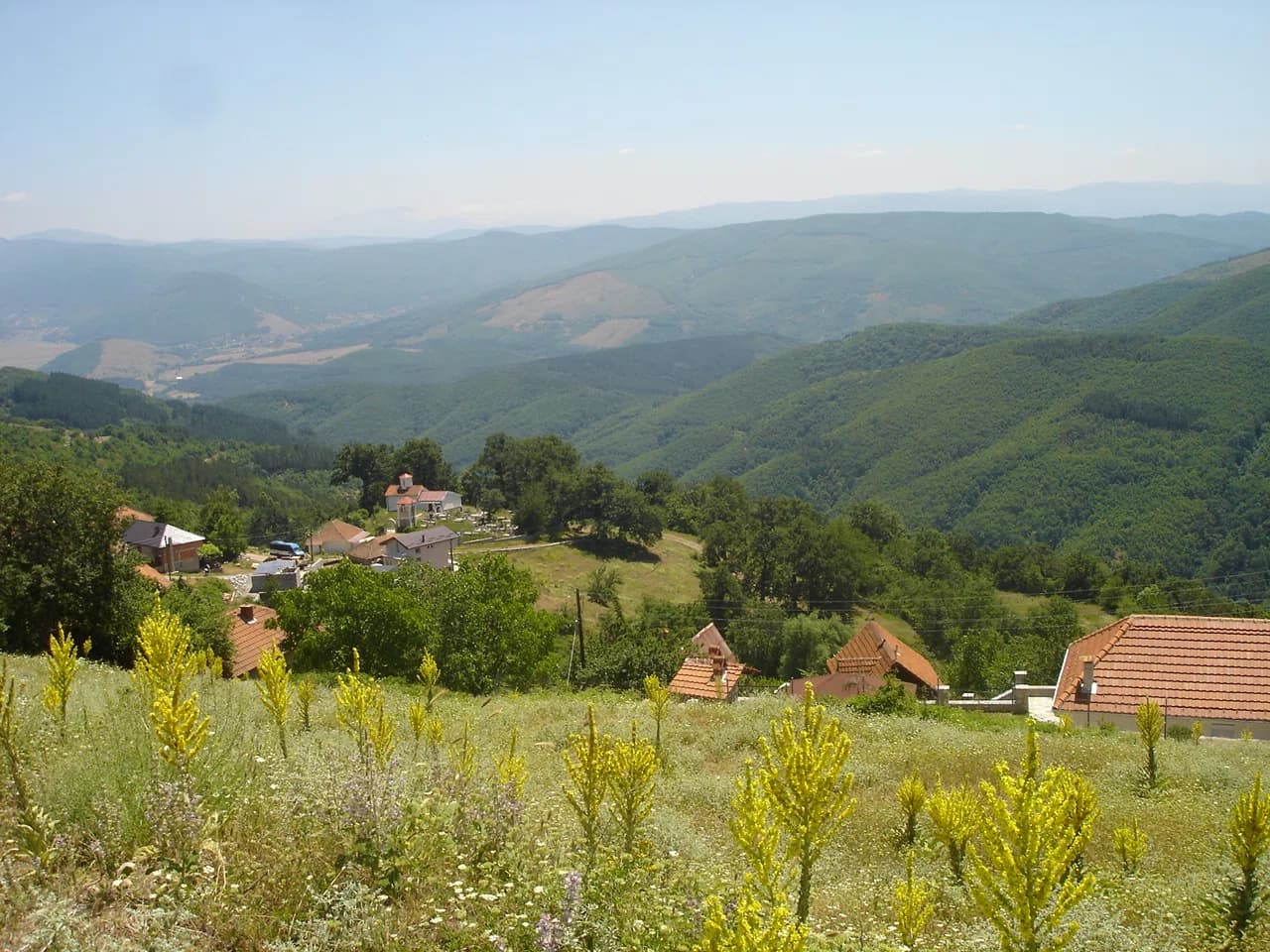 Crvena Voda