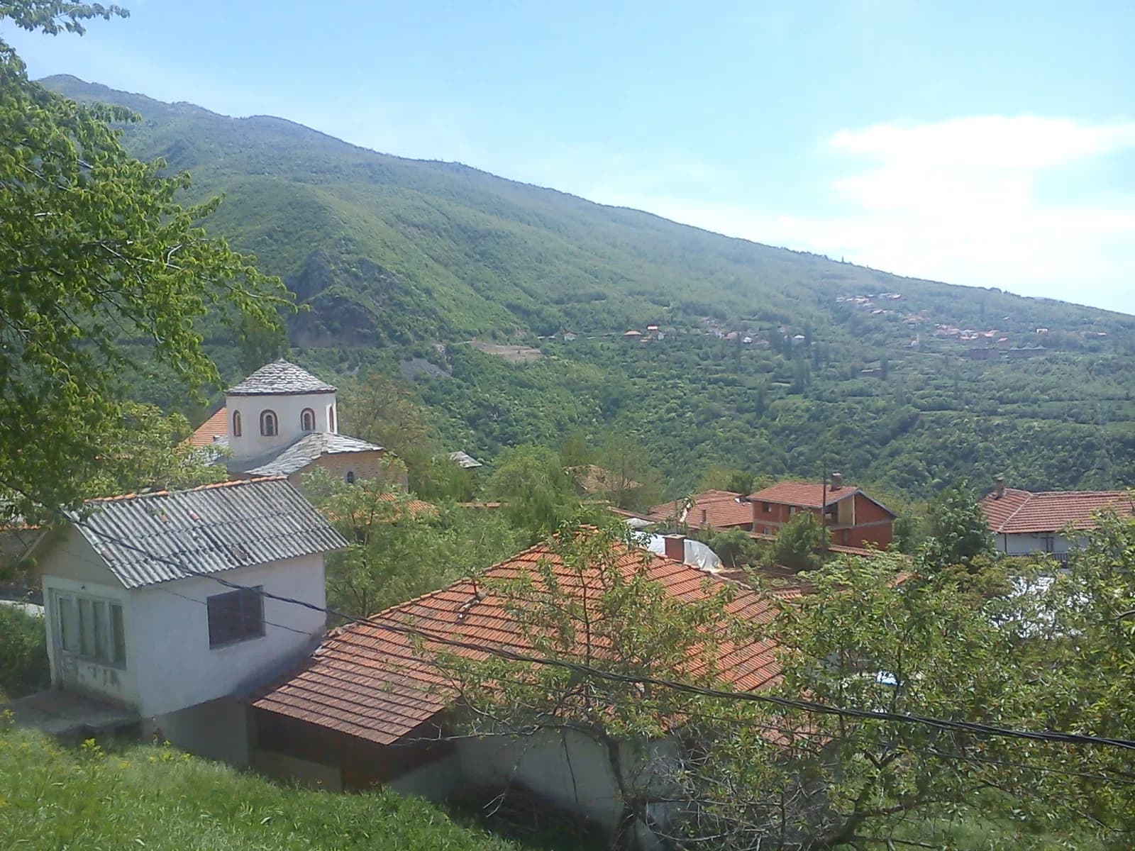 Rajčica