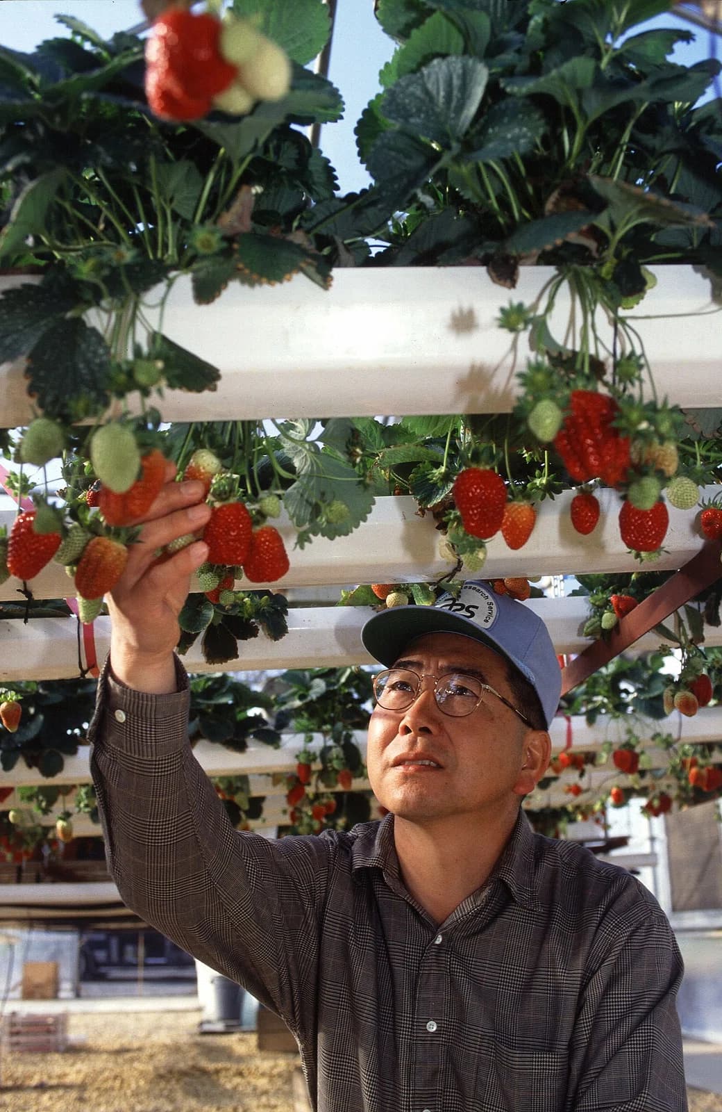 horticulturist