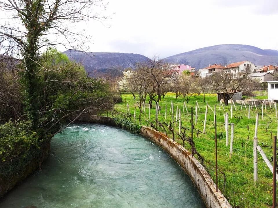 Ilići