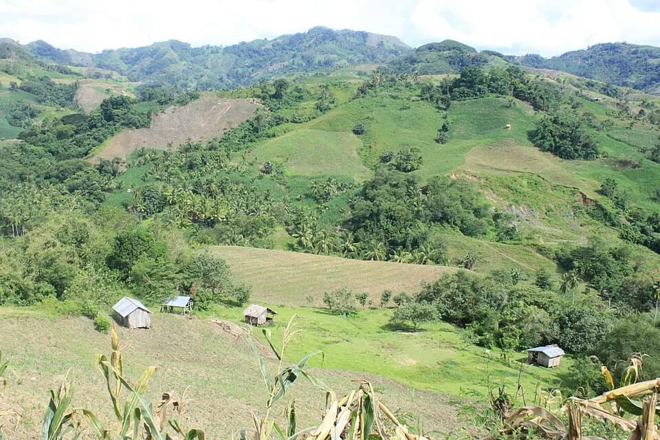 Alamada