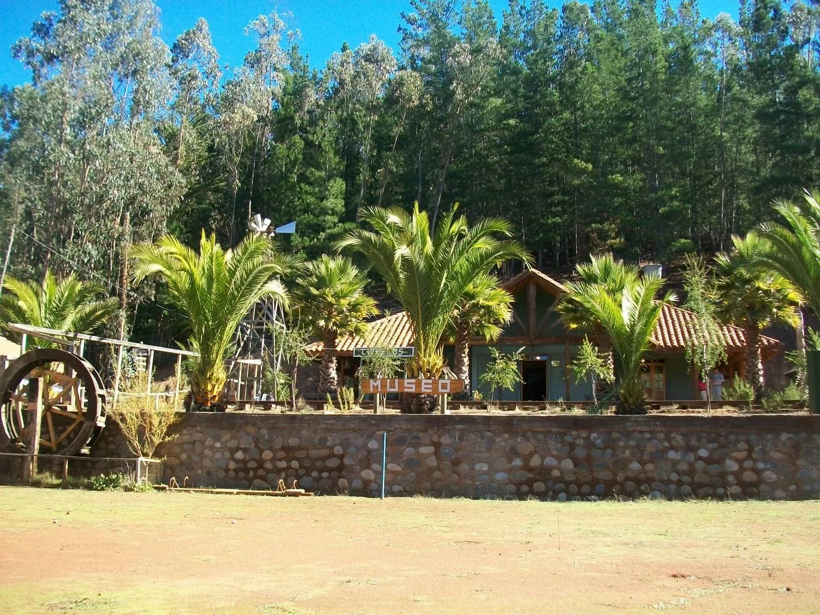 Ciruelos