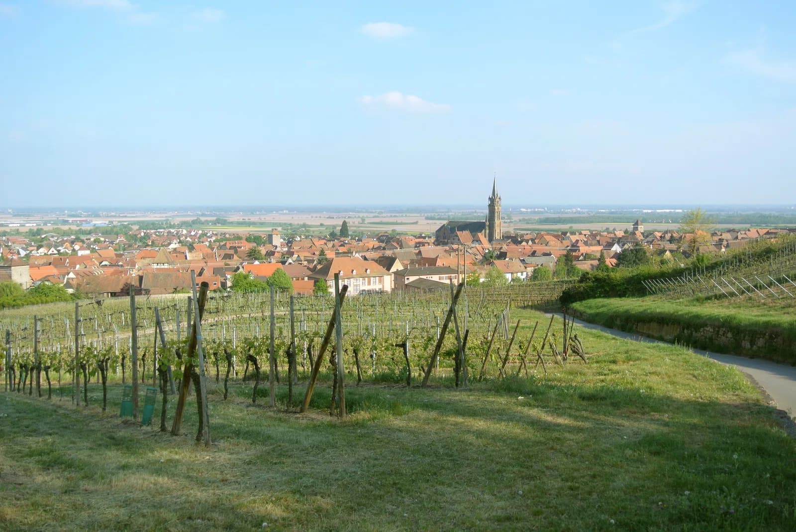Dambach-la-Ville