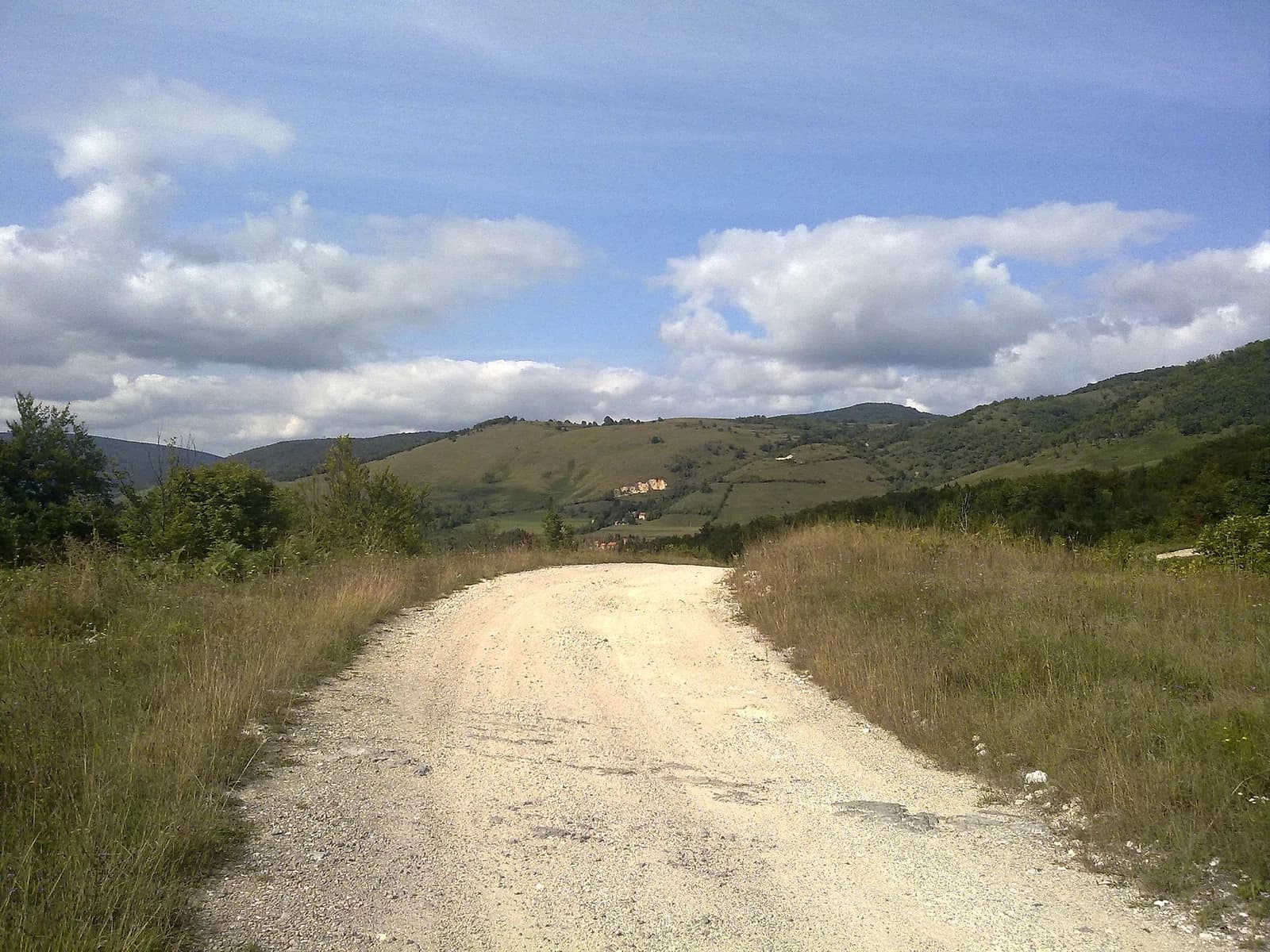 Jelašinovci