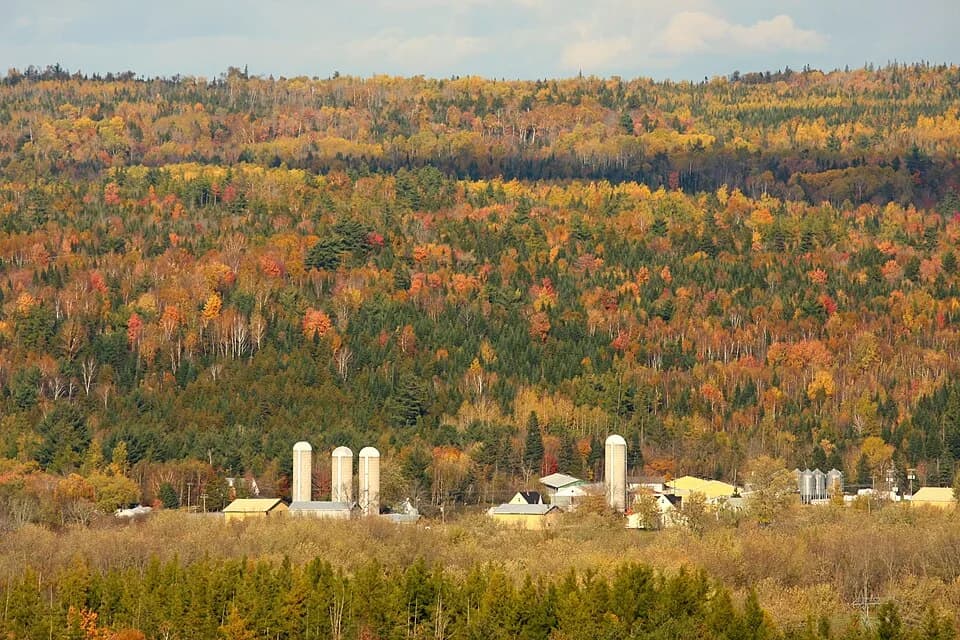 Keswick Ridge