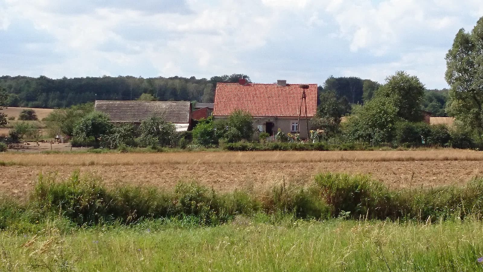 Klonowo