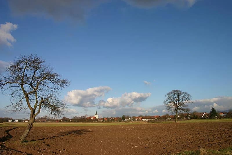 Gamshurst