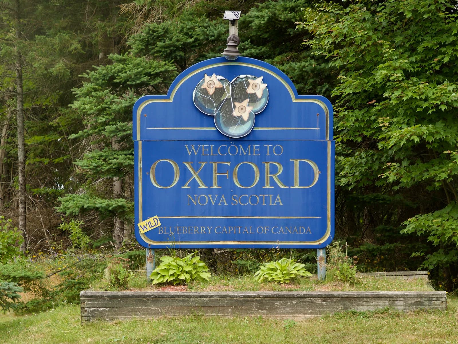 Oxford