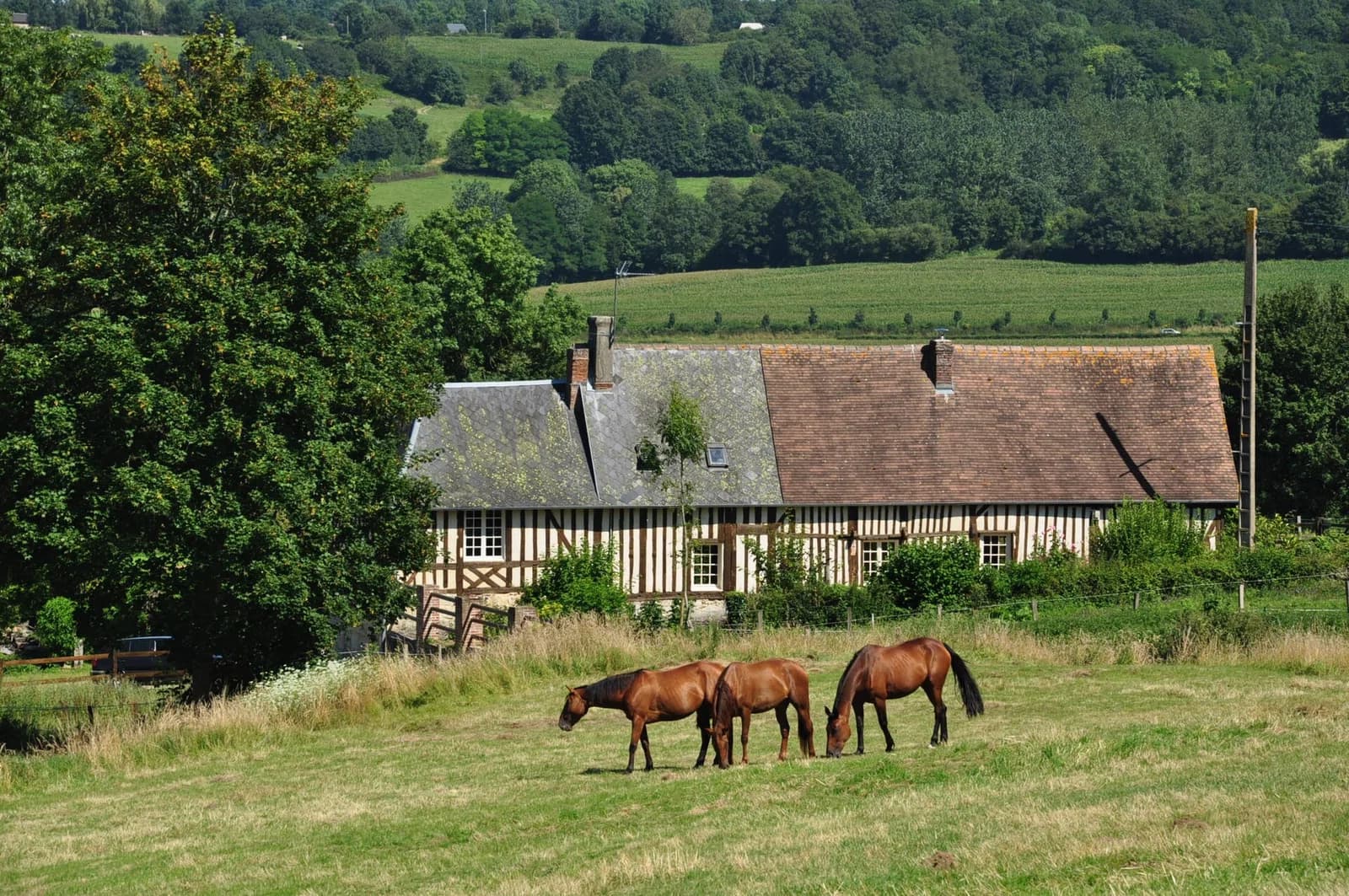 Calvados