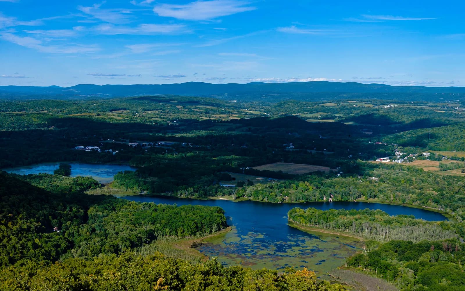 Pine Plains
