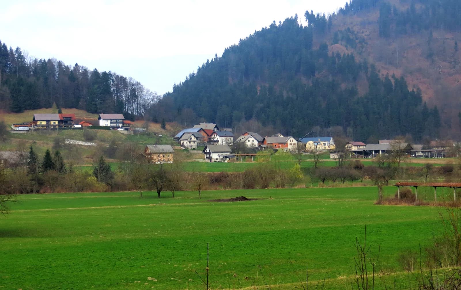 Praprotno