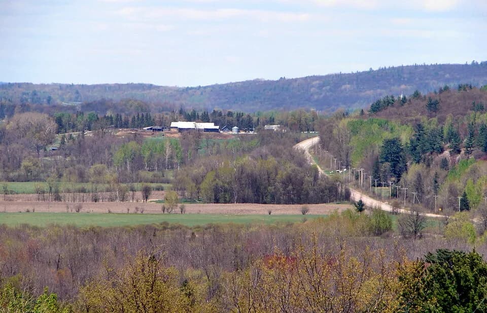 Litchfield