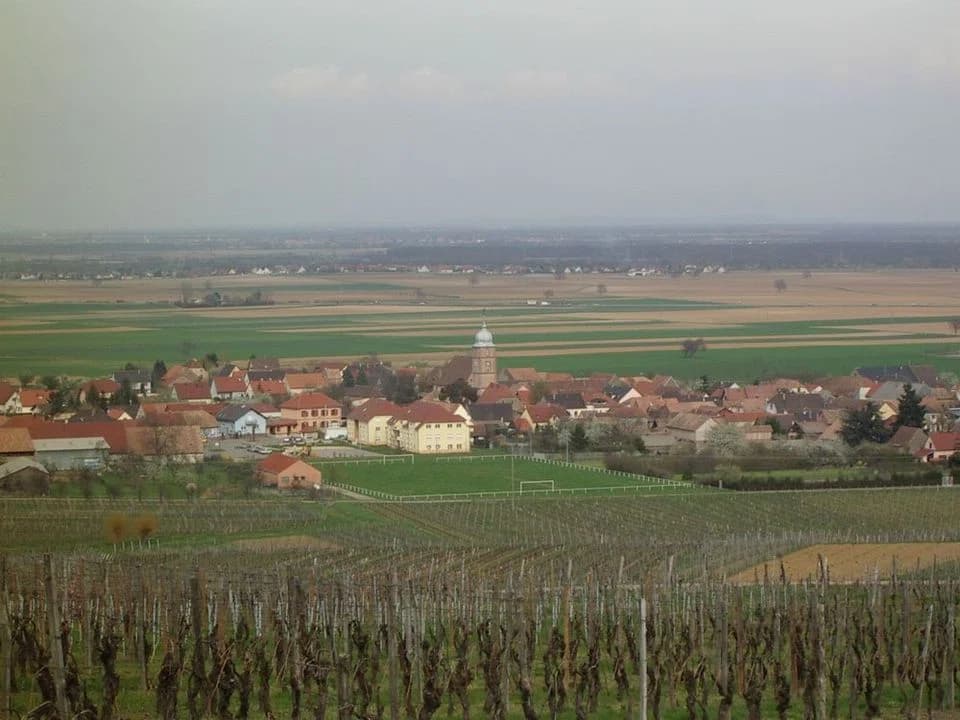 Bergholtz