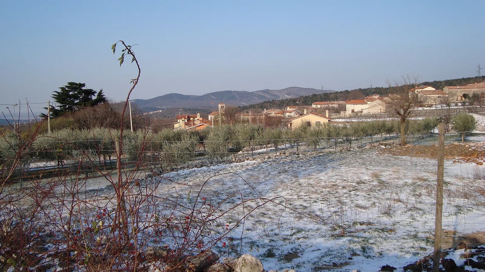 Slivia