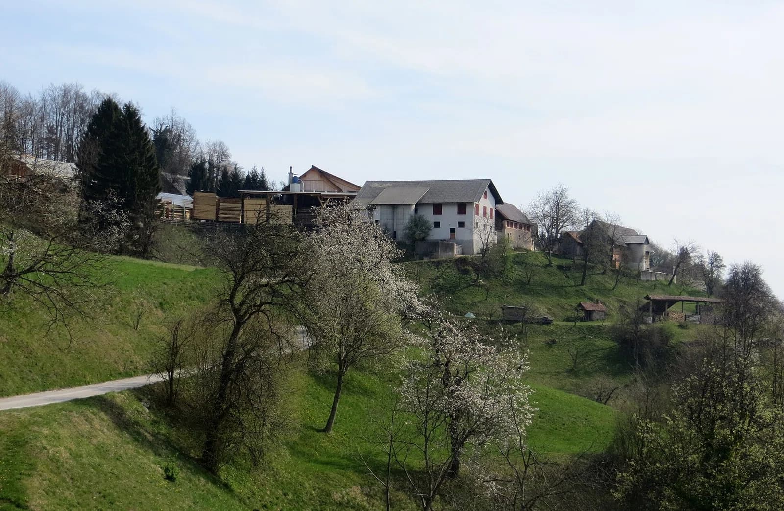 Gabrovo