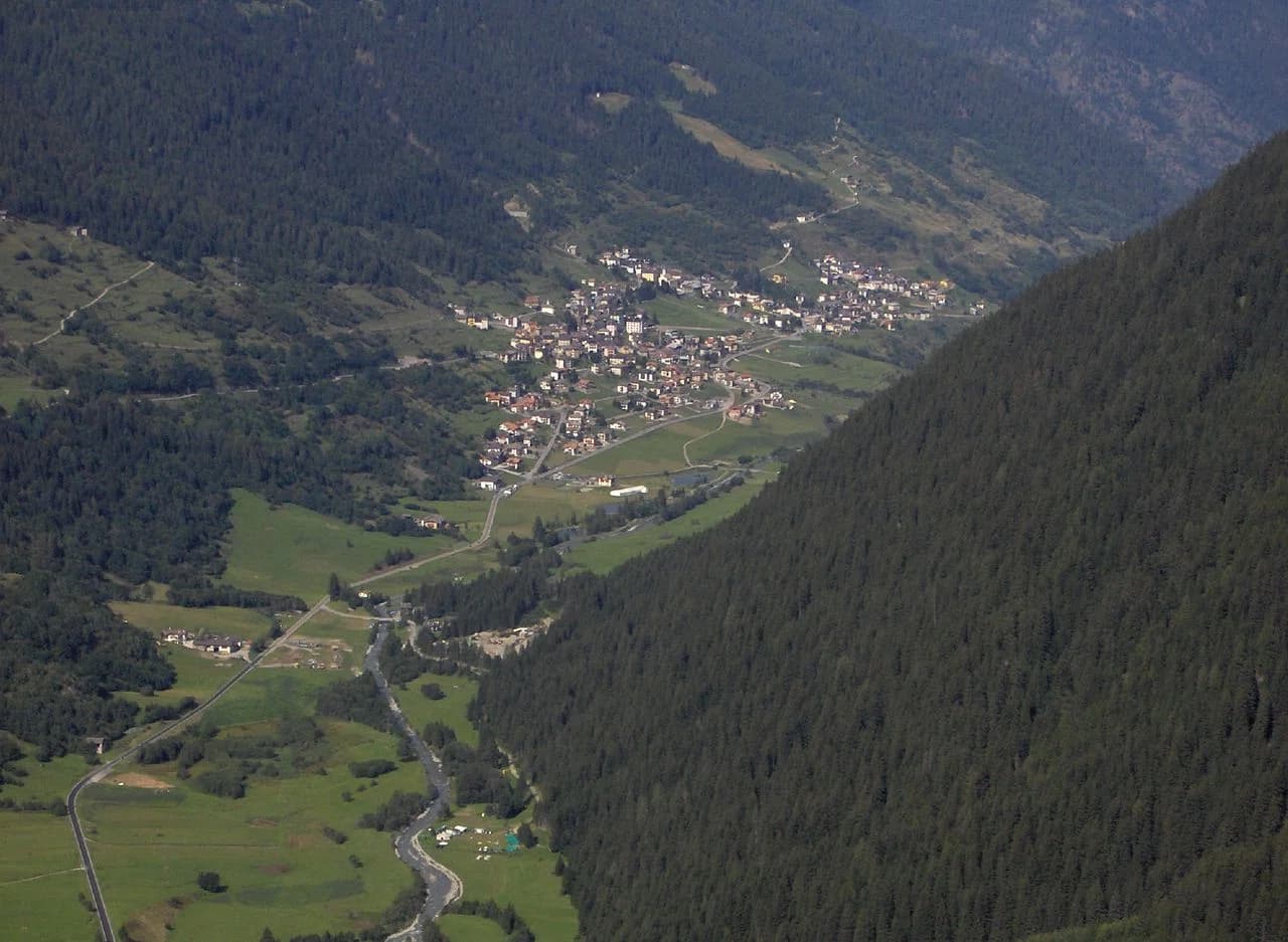 Vermiglio