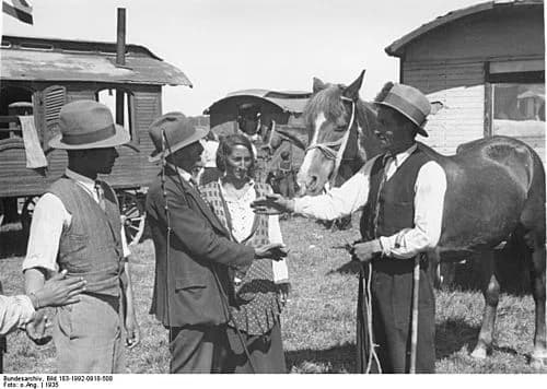 horse trader