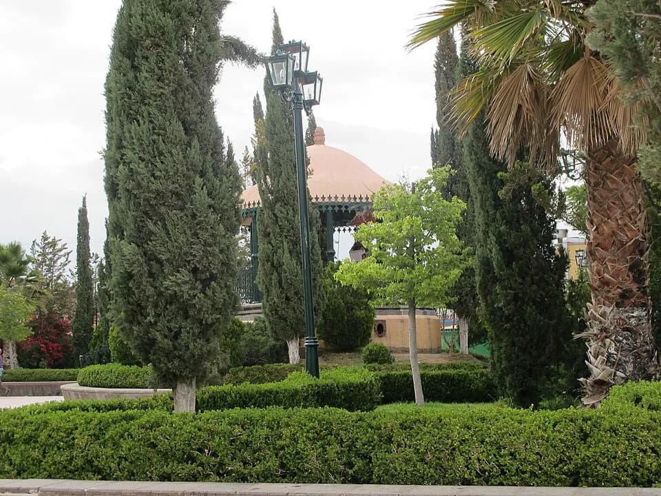 Ojuelos de Jalisco