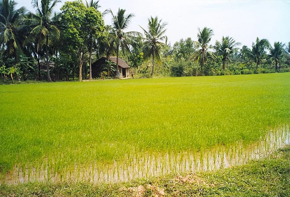 Bến Tre