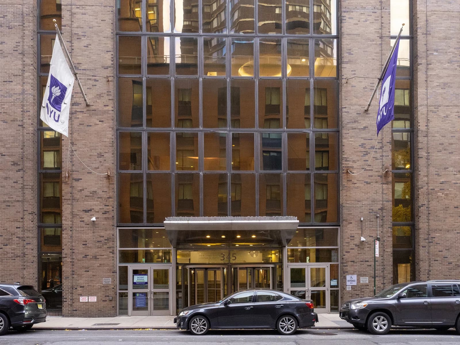New York University College of Dentistry