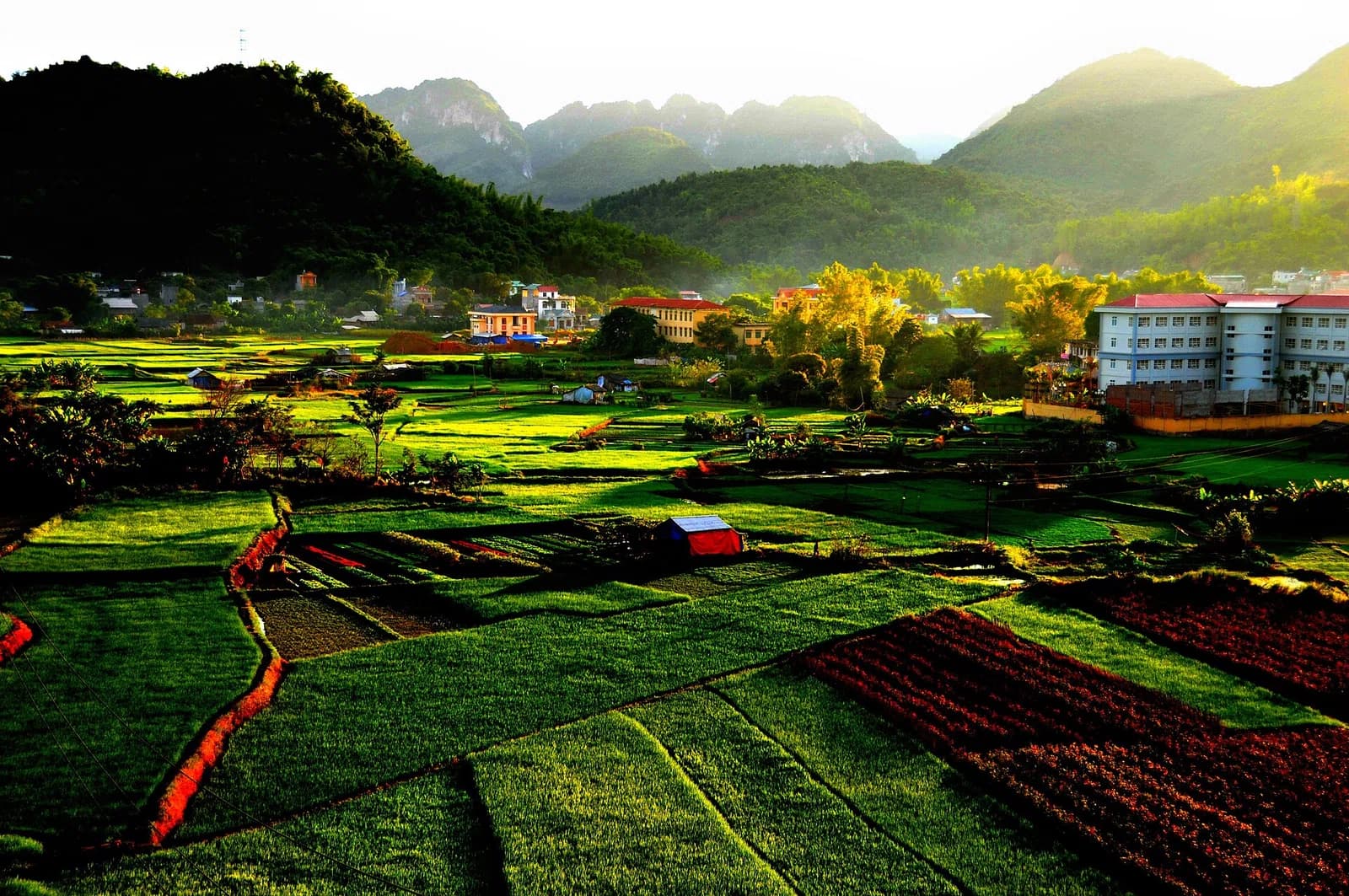 Sơn La