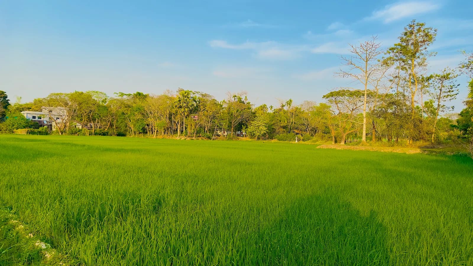 Beanibazar Upazila