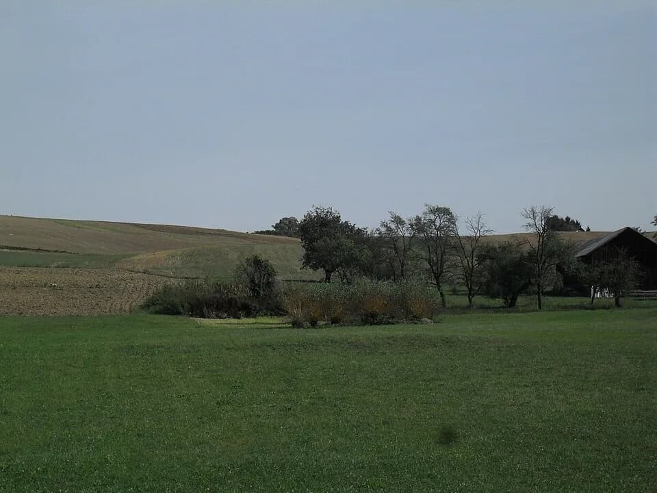 Ratkovci