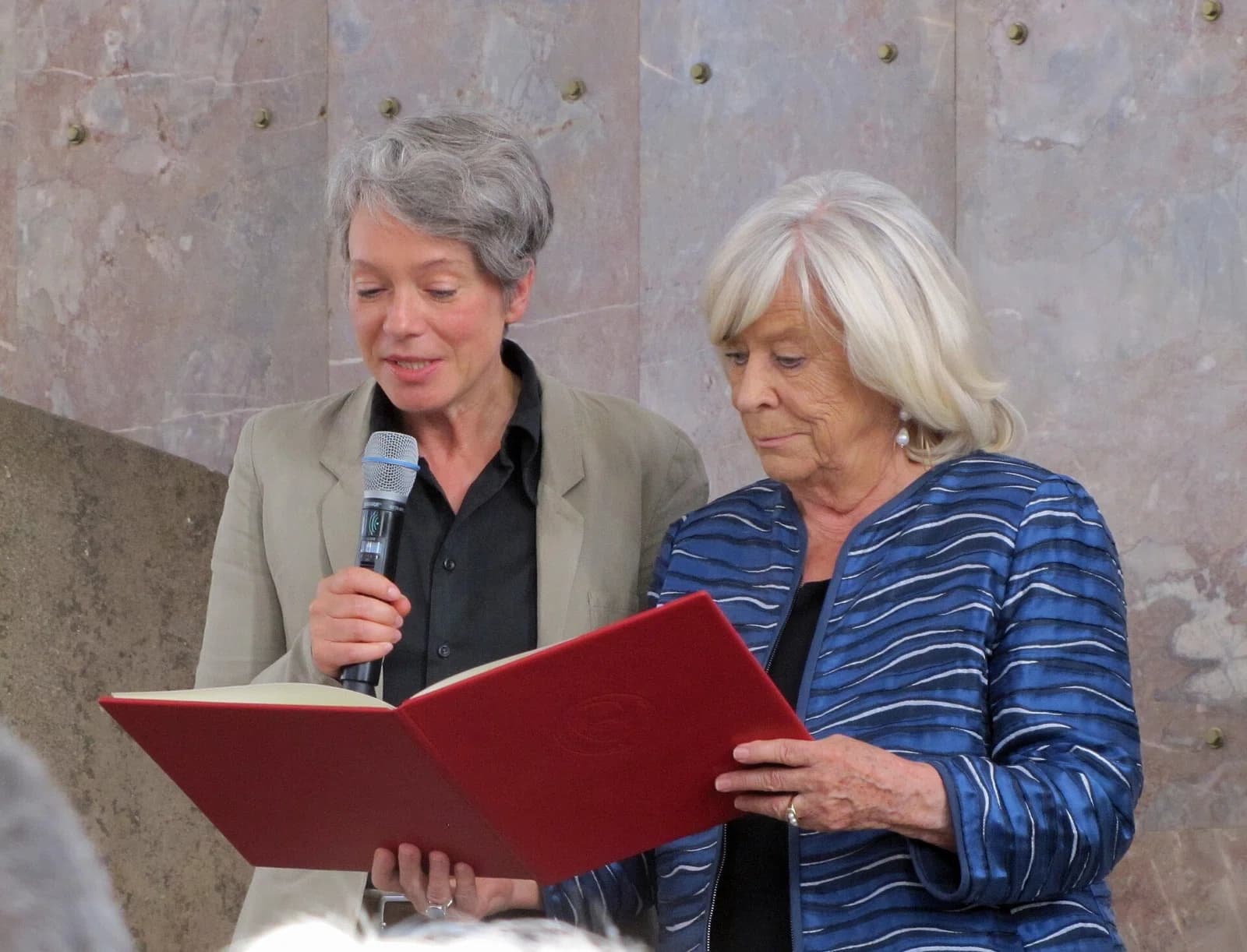 Theodor W. Adorno Award