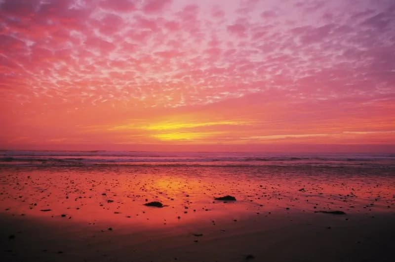 Cardiff-by-the-Sea