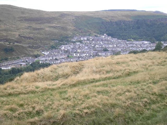 Glynrhedynog