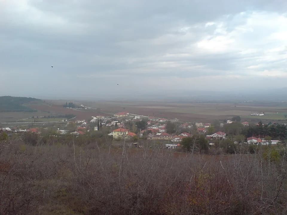 Mikro Dasos