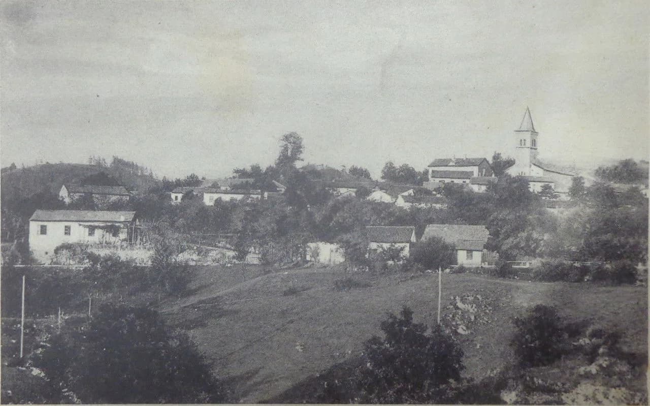 Jelšane