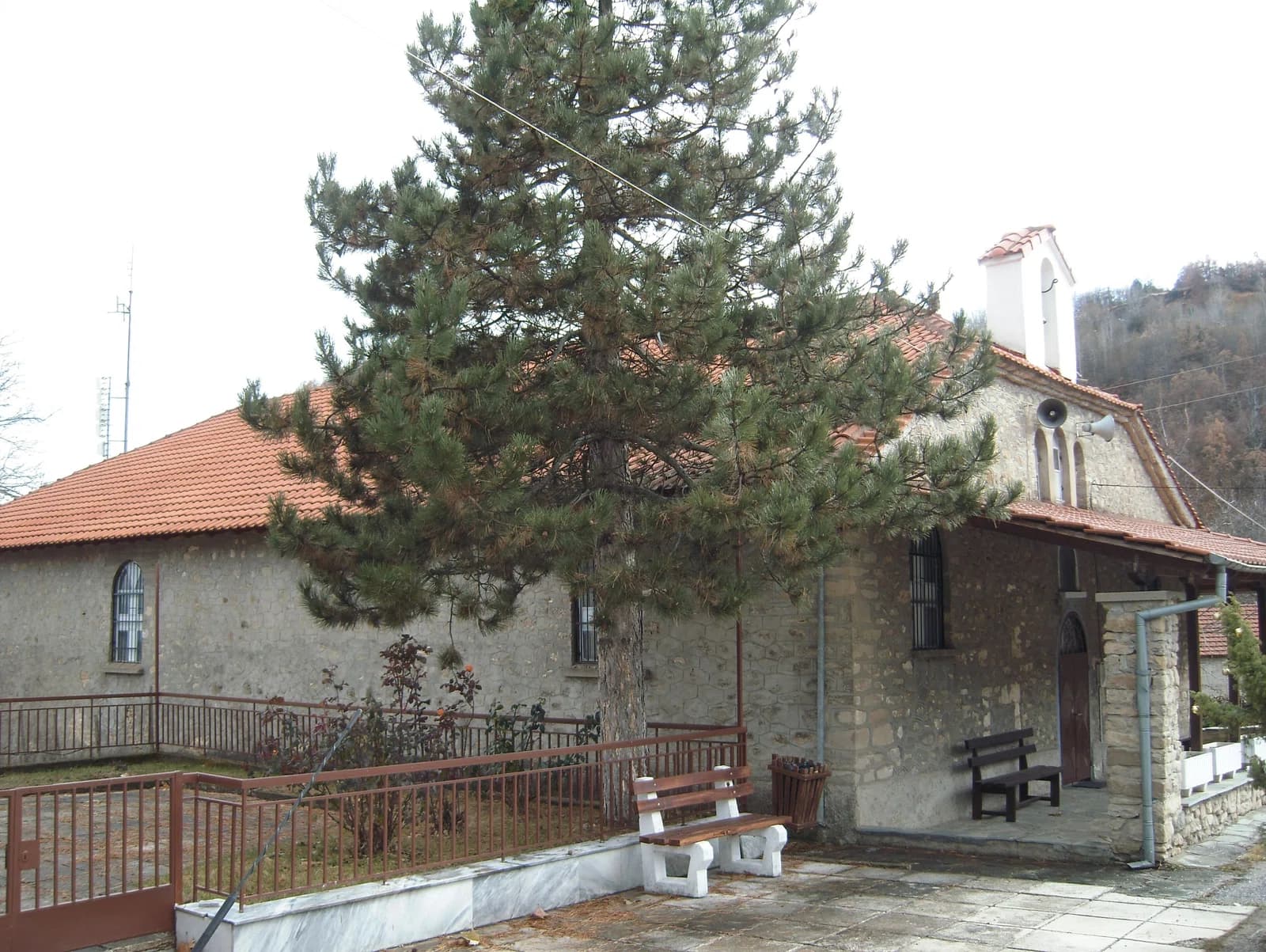 Kastanofyto
