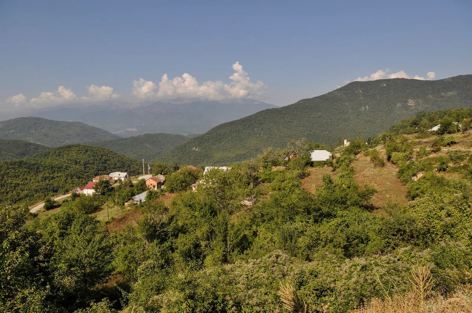 Prisovjani