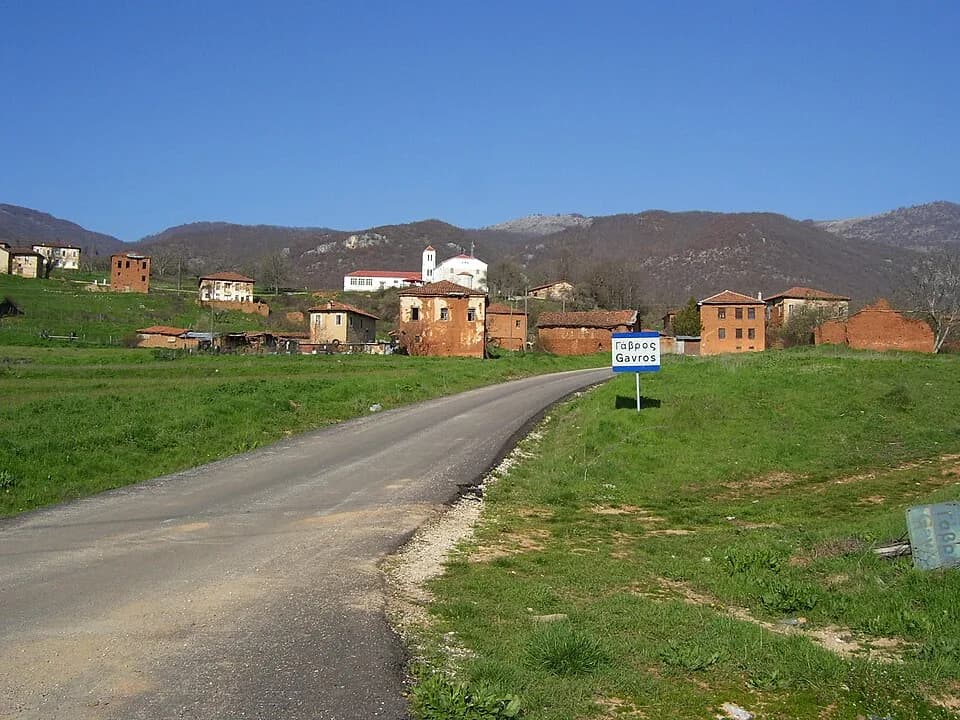 Gavros