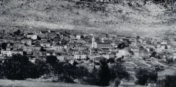 Dendrochori