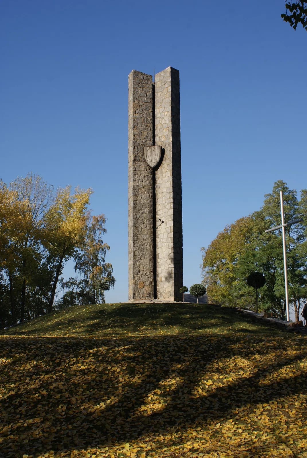 Płowce
