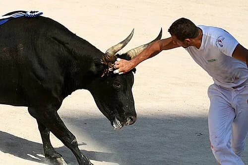 raseteur