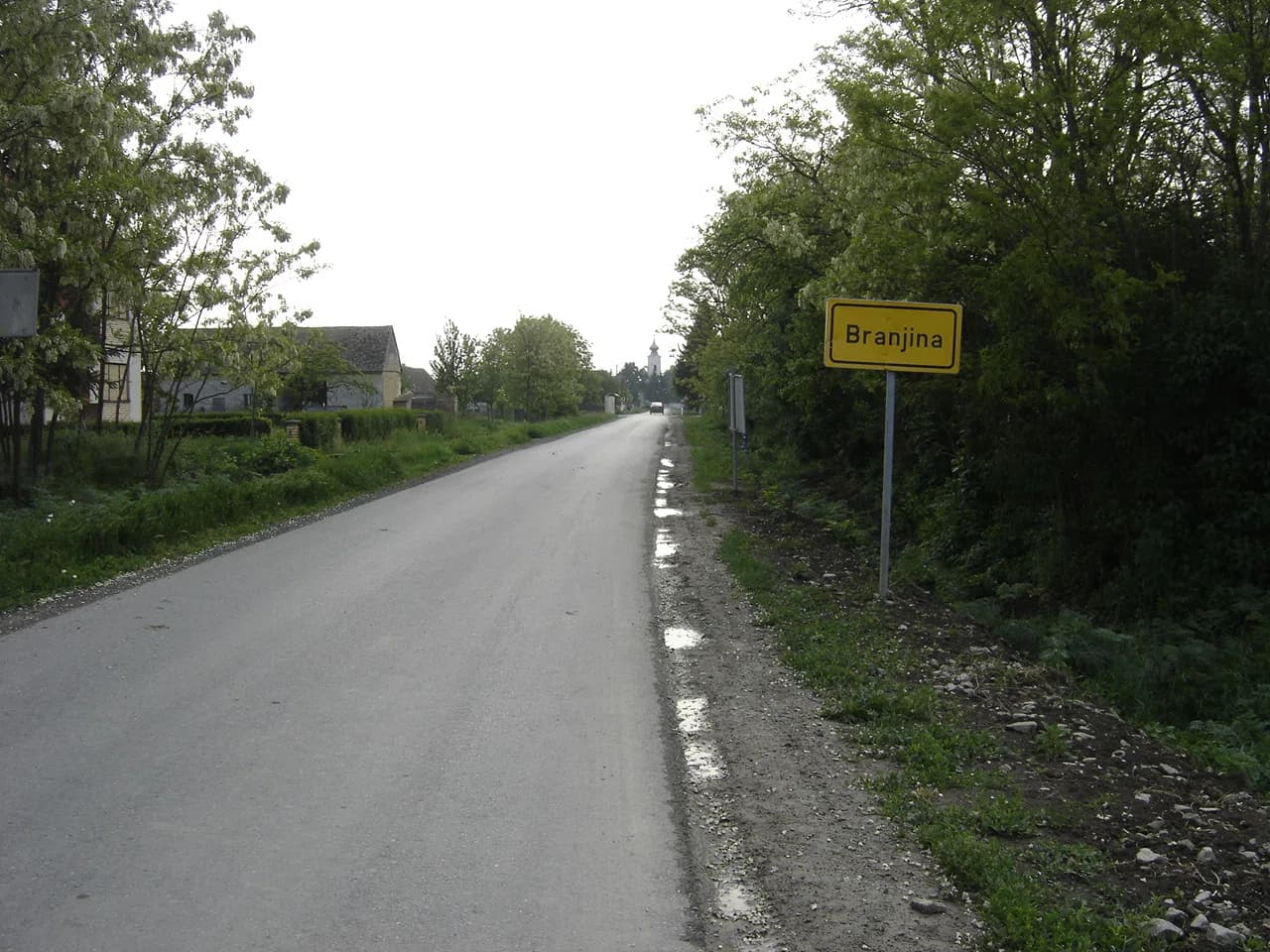 Branjina
