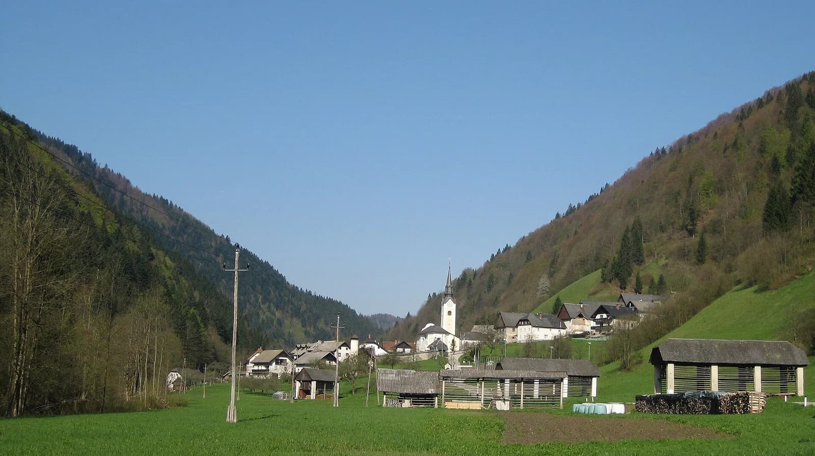 Zali Log