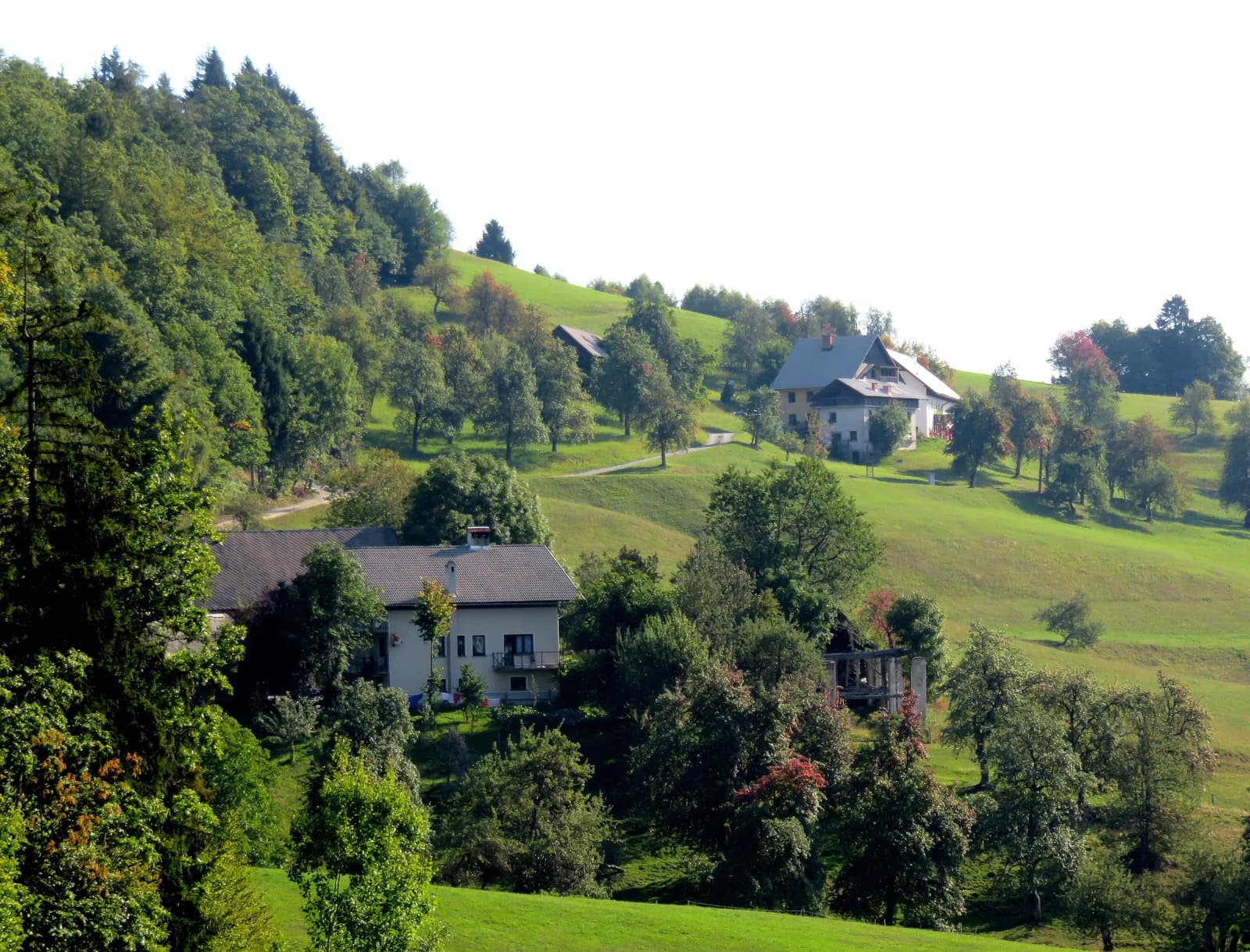 Gabrška Gora