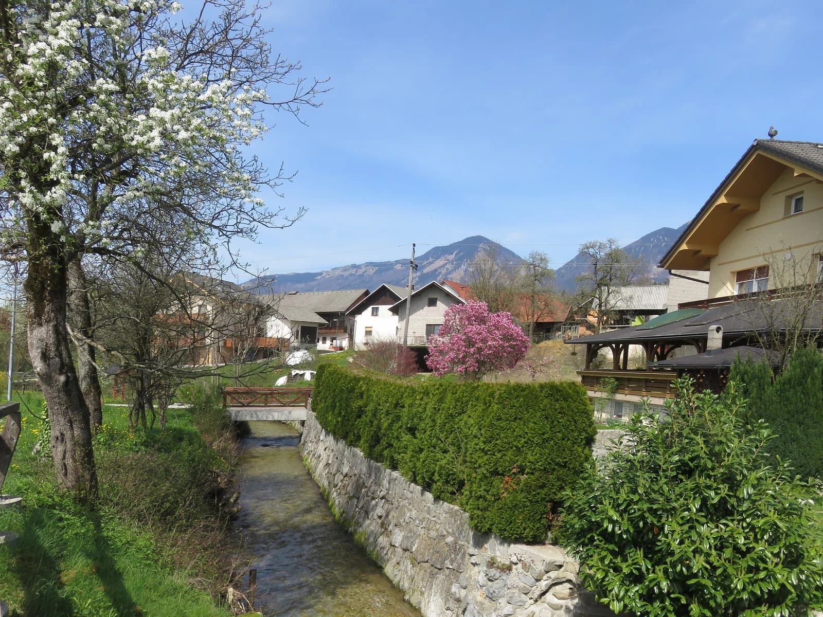 Spodnja Bela