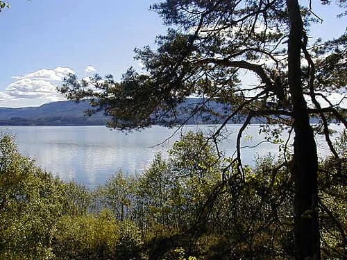 Ringerike